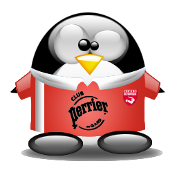 penguin pingouin pinguino 807